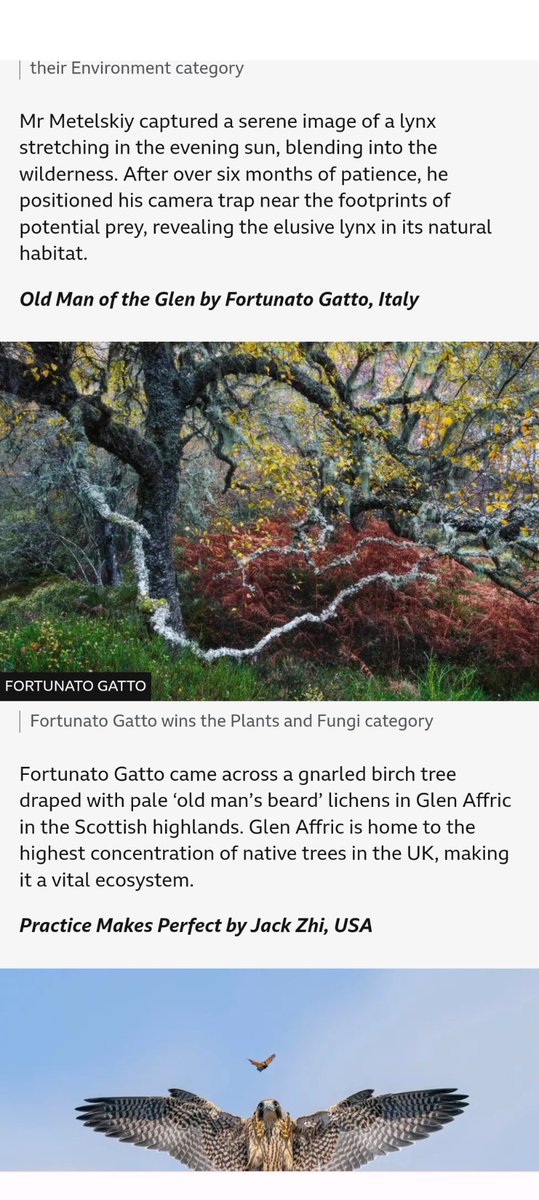 1DavidElston's tweet photo. I'm intrigued by this sentence "Glen Affric is home to the highest concentration of native trees in the UK" in text supporting the Wildlife Photographer of the Year awards. Has anybody seen it before, and what precisely does it mean? https://t.co/jwnkTVayHD https://t.co/2udiLy9AIc