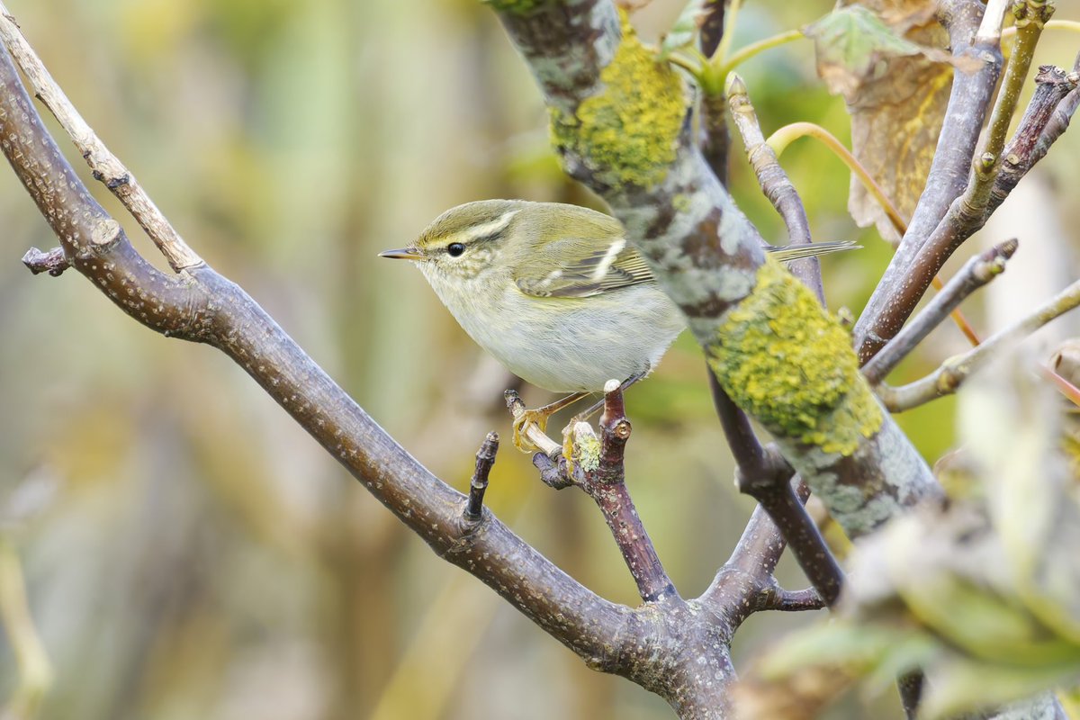 Pete Winn tweet media