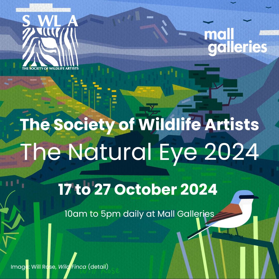 Will Rose (@wilborose) on Twitter photo I’m delighted to share that my animated work inspired by my time spent at <a href="/LMasseyImages/">Luke Massey</a> and Katie's #Wildfinca in May has been accepted for this years <a href="/swlanaturaleye/">SWLA</a> exhibition at the <a href="/mallgalleries/">mallgalleries</a> . Exhibition begins 17th-27th Oct. Hope to see you at the <a href="/_BTO/">BTO</a> evening too! I’m delighted to share that my animated work inspired by my time spent at <a href="/LMasseyImages/">Luke Massey</a> and Katie's #Wildfinca in May has been accepted for this years <a href="/swlanaturaleye/">SWLA</a> exhibition at the <a href="/mallgalleries/">mallgalleries</a> . Exhibition begins 17th-27th Oct. Hope to see you at the <a href="/_BTO/">BTO</a> evening too!