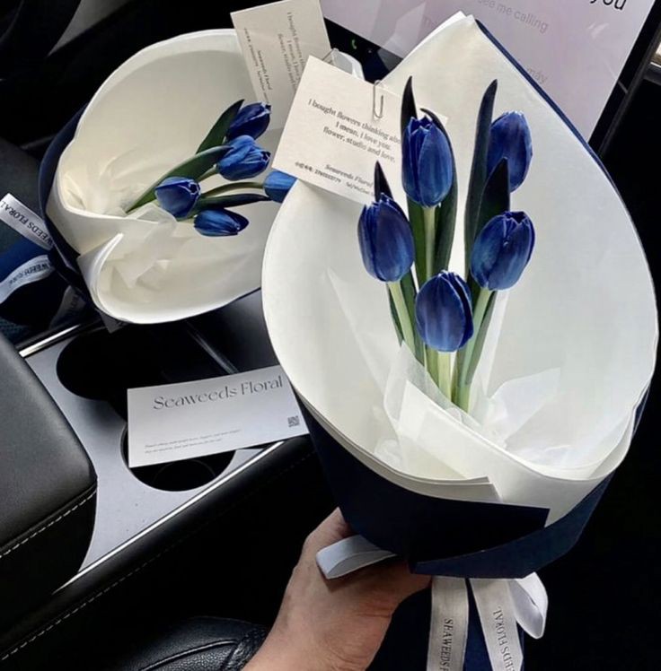 Blue tulips