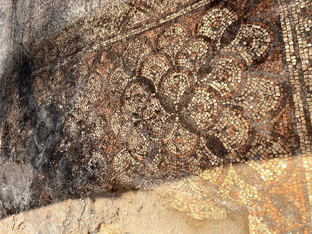 Lihi Habas, "Symbols of Faith in the Mosaic Floors of the Newly Discovered Ecclesiastical Complex at Ashdod Maritima", JMR 16, 2023.
dergipark.org.tr/en/pub/jmr/iss…

#archaeology #mosaic #art #mosaicart #restoration #conservation