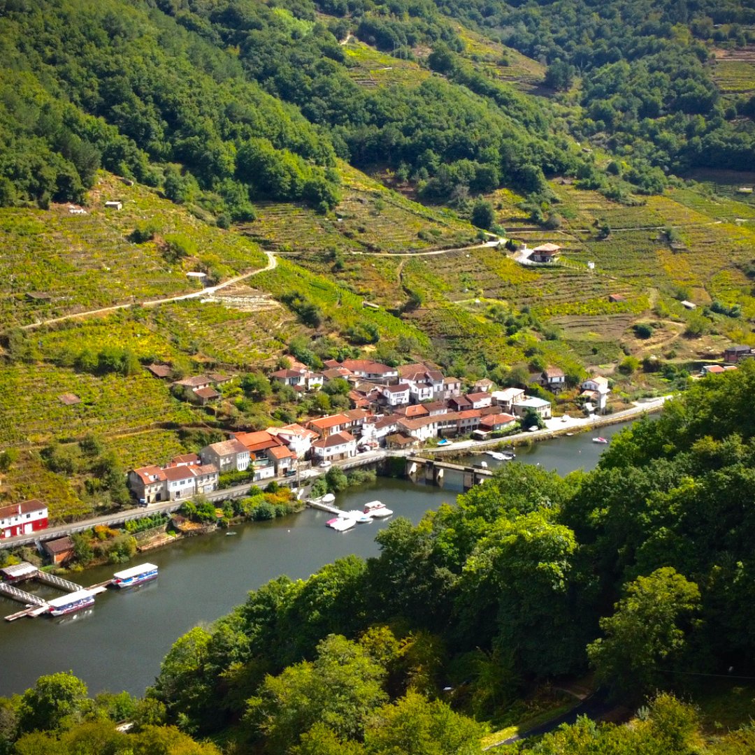 ribeirasacrado's tweet photo. Na Subzona de Ribeiras do Miño, esta vila distínguese pola súa fermosa paisaxe, rodeada de viñedos e bañada polo río Miño.
En la Subzona de Riberas del Miño, esta aldea se distingue por su hermoso paisaje, rodeada de viñedos y bañada por el río Miño. https://t.co/sMLIhSD3FI