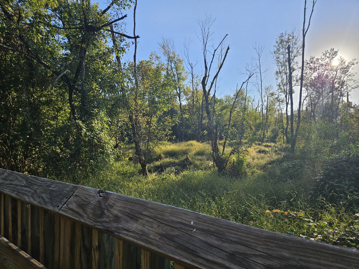 Paola De Avila tweet media