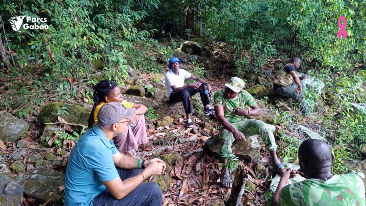 Parcs_Gabon's tweet photo. Visite du #ParcNationaldelIvindo, site classé au #PatrimoineMondial de l'@UNESCO par le Représentant Résident Adjoint par intérim du #PNUDGabon, Luc GNONLONFOUN. Accueilli par le Conservateur Hermann W. MAGANGA BANDJOUTS. 
#Ivindo #PNIvindo #Conservation #Biodiversité #ANPN https://t.co/aa4pMs3usM