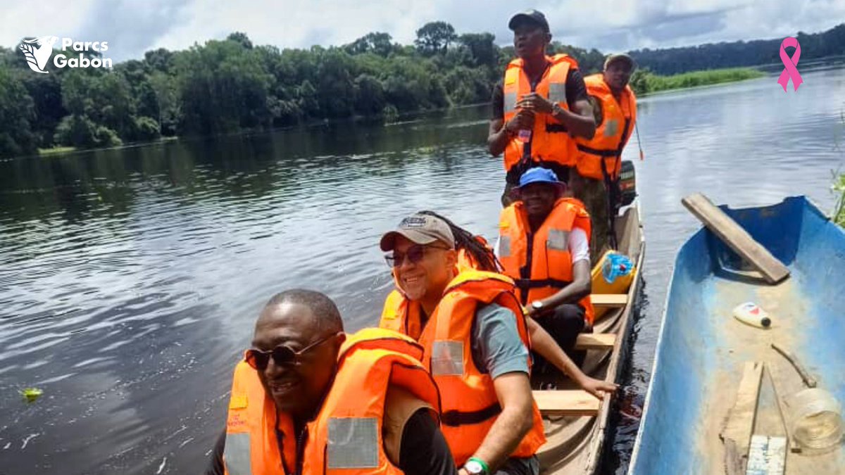 Parcs_Gabon's tweet photo. Visite du #ParcNationaldelIvindo, site classé au #PatrimoineMondial de l'@UNESCO par le Représentant Résident Adjoint par intérim du #PNUDGabon, Luc GNONLONFOUN. Accueilli par le Conservateur Hermann W. MAGANGA BANDJOUTS. 
#Ivindo #PNIvindo #Conservation #Biodiversité #ANPN https://t.co/aa4pMs3usM