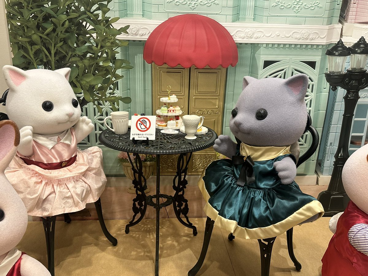 大きいお姉さんお兄さんや、おじいちゃまおばあちゃまもいた🥹かわえぇ💕