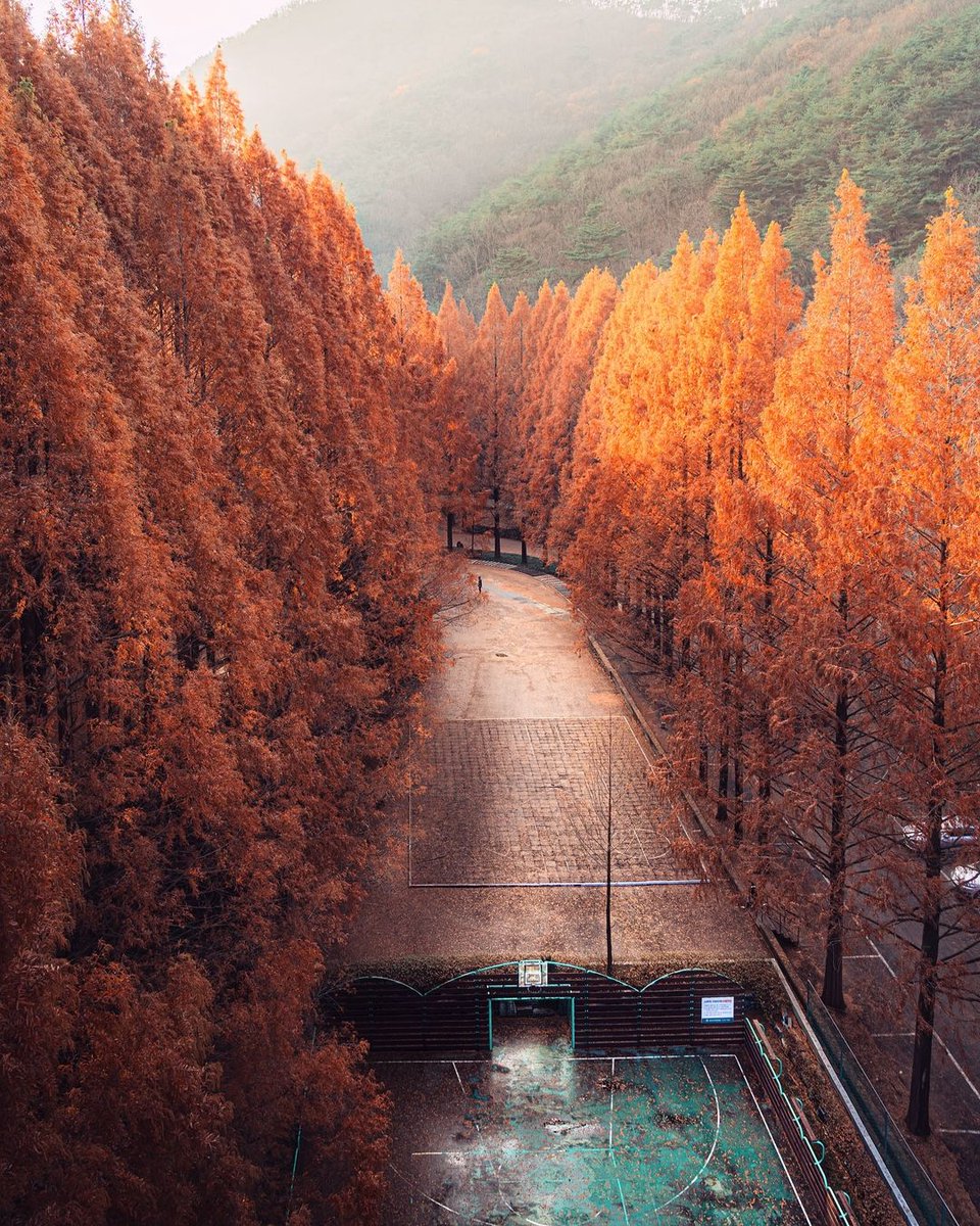 kopcc91's tweet photo. .
Winter will come soon, right? 
.
#photographer #PhotoMode #Korea #Corea #NaturePhotography #nature #NatureBeauty #naturelovers https://t.co/NM9Q5AdbeS