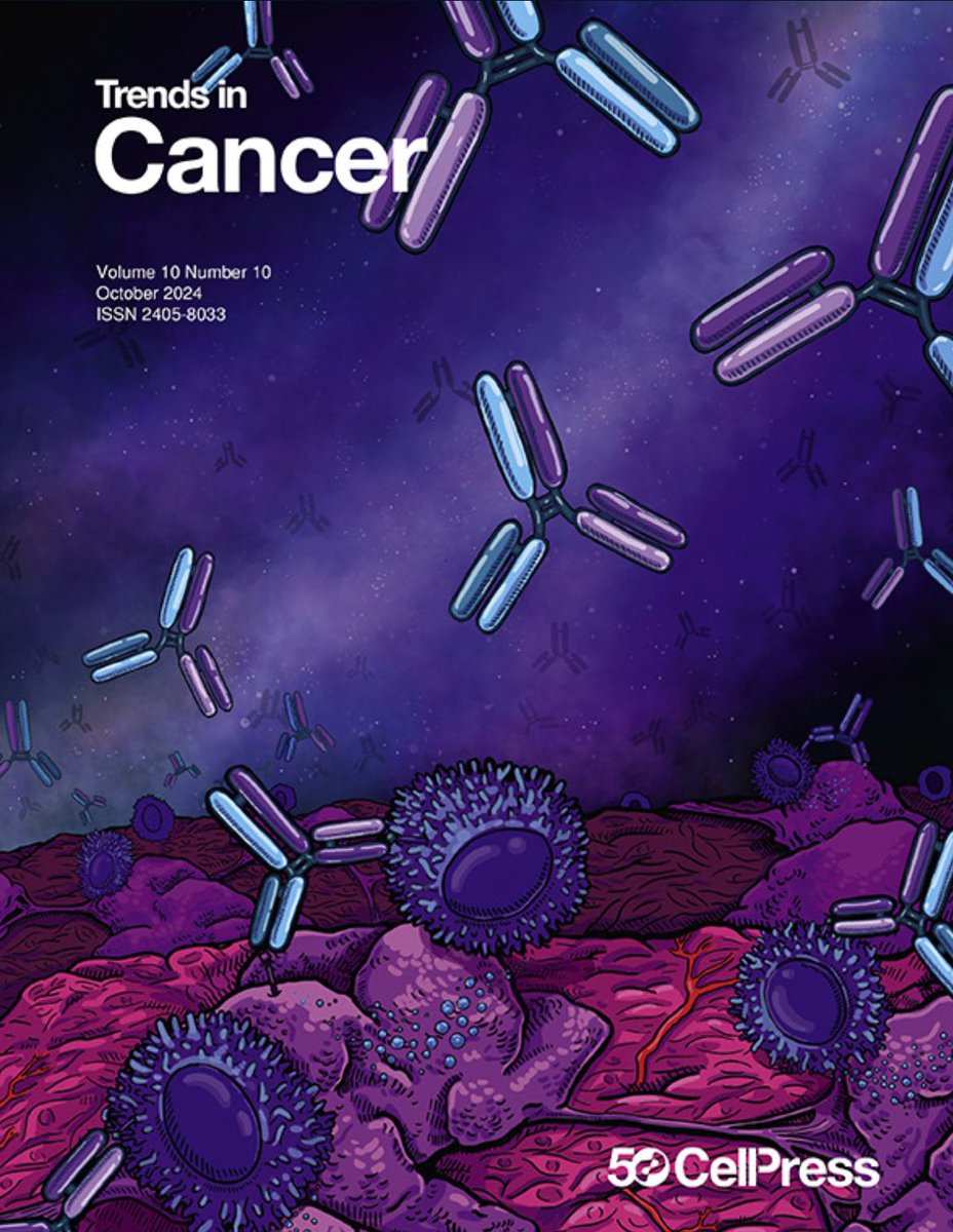 Thiago M Steiner tweet media