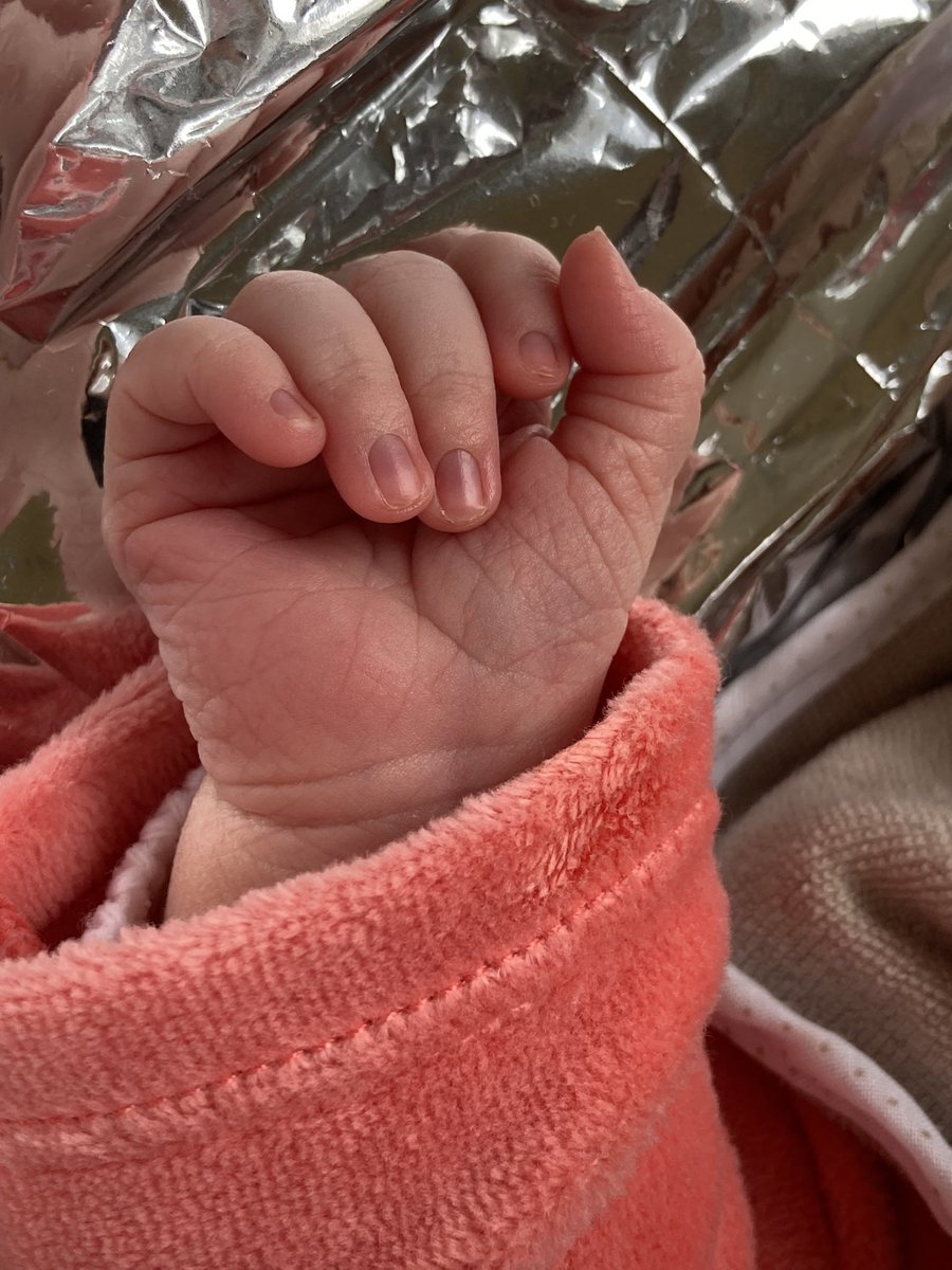 Quentin B 🐮🌻🌾🌽🚜 tweet media