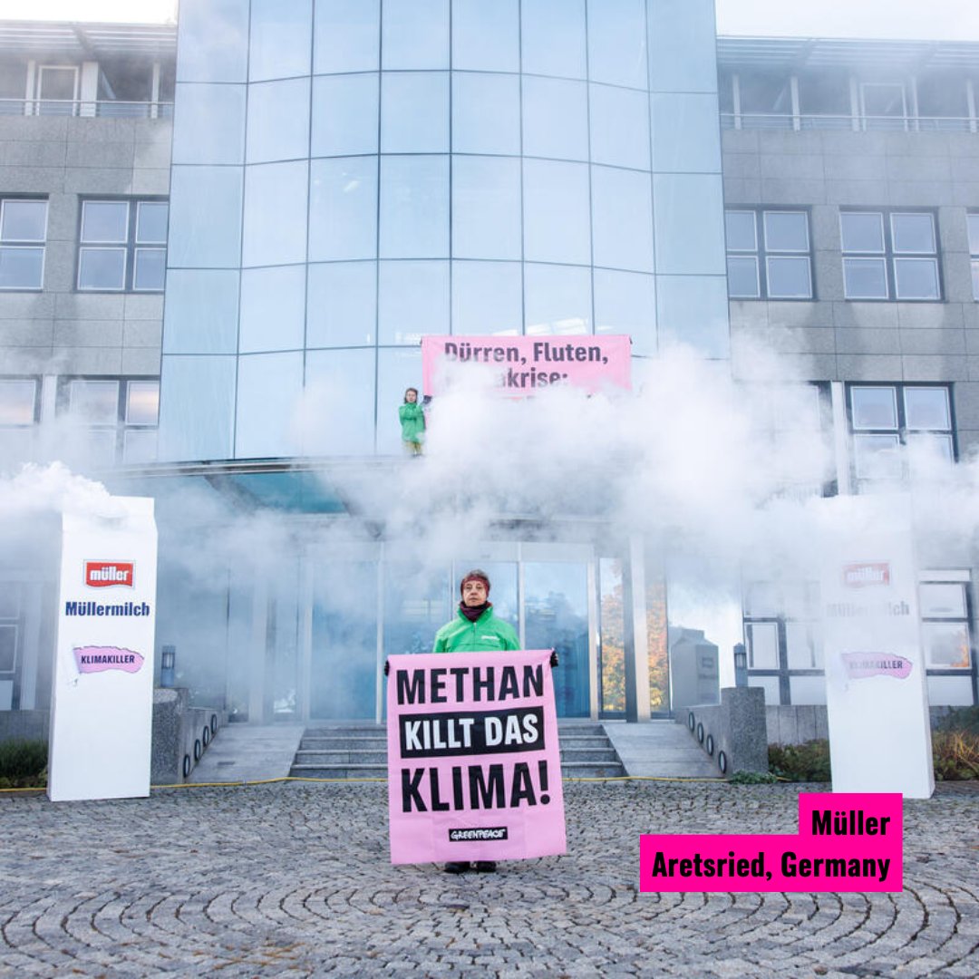 Greenpeace International tweet media