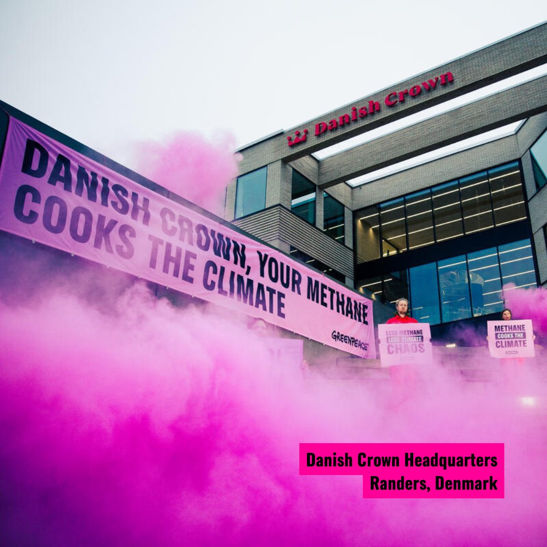 Greenpeace International tweet media