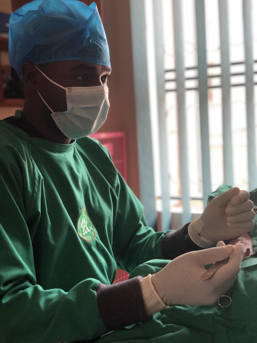 Independence Day work 

Ovariohysterectomy on a jack russel terrier. Successfully done and the patients postoperative condition is satisfactory.

Your pet, Our passion 🐾