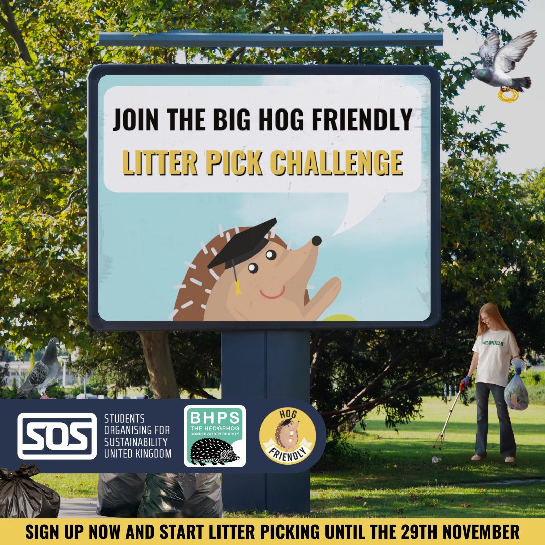 Hedgehog Friendly Campus tweet media