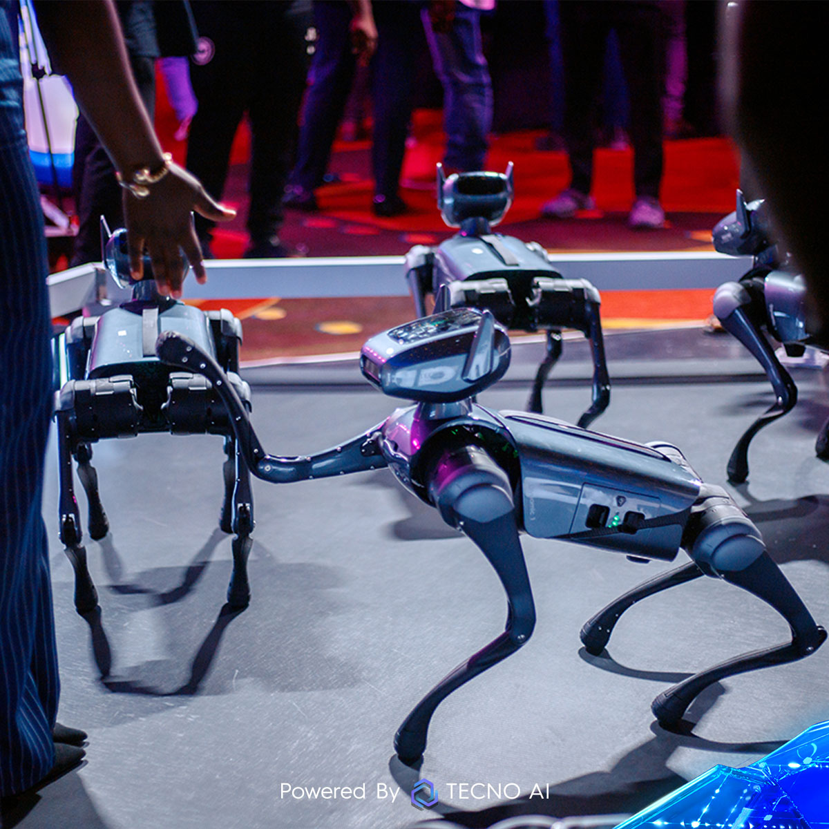 TecnoMobileGH's tweet image. The TECNO Dynamic 1 stole the show at the TECNO AI &amp;amp; Ecosystem showcase! Attendees were blown away by its biomorphic design and seamless human-machine interaction—TECNO AI innovation at its finest!

#TECNOInnovates
#TECNOAIEvolution
#TECNOAI
#TECNOGhana