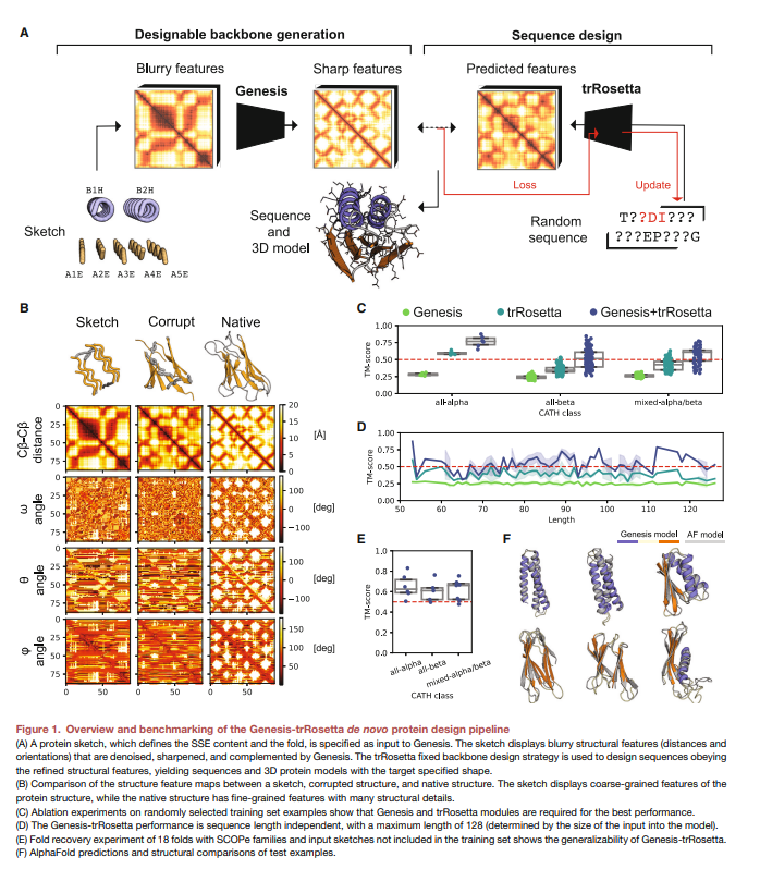 Bruno Neri (@neribr) on Twitter photo "Exploring ‘'dark-matter' protein folds using deep learning" by <a href="/EPFL_en/">EPFL</a> , <a href="/imperialcollege/">Imperial College London</a>, <a href="/zanderharteveld/">Zander Bühler Harteveld</a>, <a href="/mmbronstein/">Michael Bronstein</a>, <a href="/befcorreia/">Bruno Correia</a> et al.
"... We present a convolutional variational autoencoder that learns patterns of protein structure ..."
#deeplearning #proteindesign "Exploring ‘'dark-matter' protein folds using deep learning" by <a href="/EPFL_en/">EPFL</a> , <a href="/imperialcollege/">Imperial College London</a>, <a href="/zanderharteveld/">Zander Bühler Harteveld</a>, <a href="/mmbronstein/">Michael Bronstein</a>, <a href="/befcorreia/">Bruno Correia</a> et al.
"... We present a convolutional variational autoencoder that learns patterns of protein structure ..."
#deeplearning #proteindesign