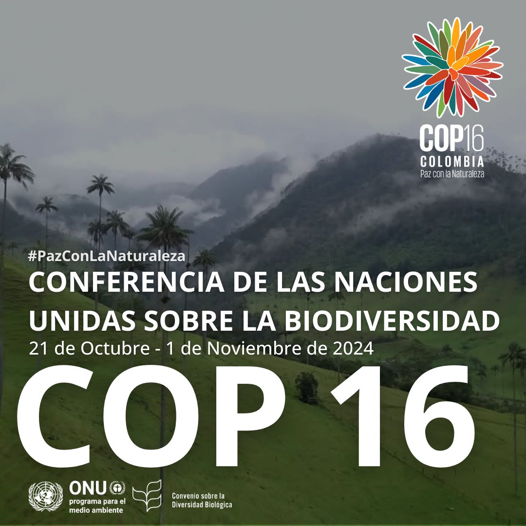 Se acerca la #COP16Colombia de <a href="/UNBiodiversity/">UN Biodiversity</a> en Cali.

Las delegaciones piden mayores esfuerzos para avanzar en la implementación del Marco Mundial de Biodiversidad #KMGBF y convertir los acuerdos en acciones.

Más información: cbd.int/conferences/20…

#PazConLaNaturaleza
