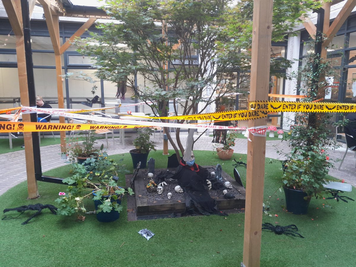 emer ward tweet media