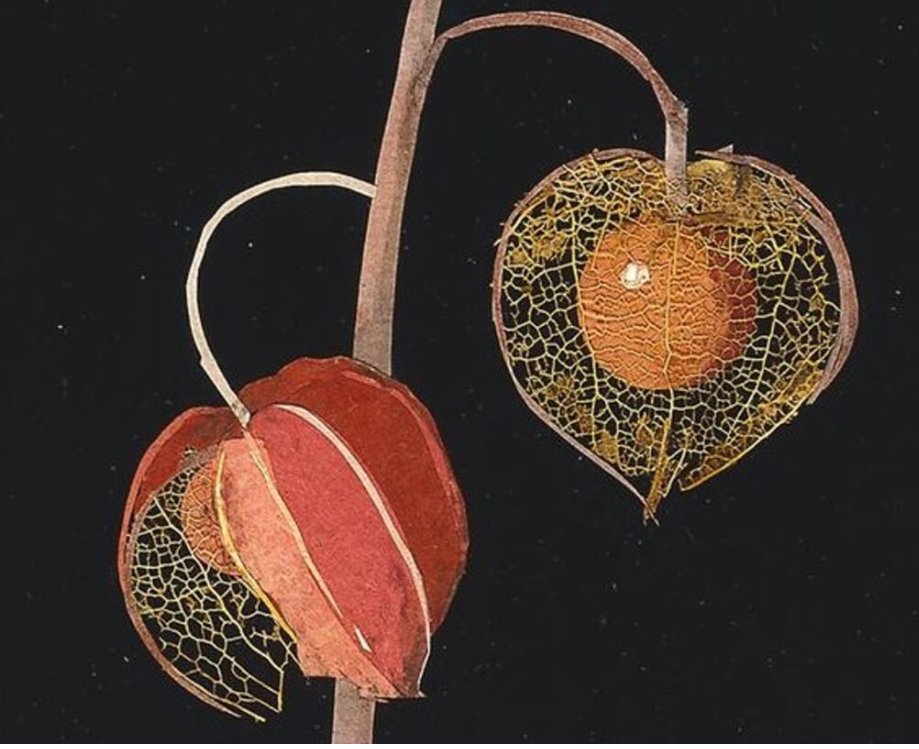 My blog today is about Mary Delany - creator of remarkable 'paper mosaiks' ie collages of flowers, made from coloured tissue paper. They are remarkable and a touring exhibition set up by the British Museum is an excellent chance  to see the pictures. mikerendell.com/mary-delany-im…