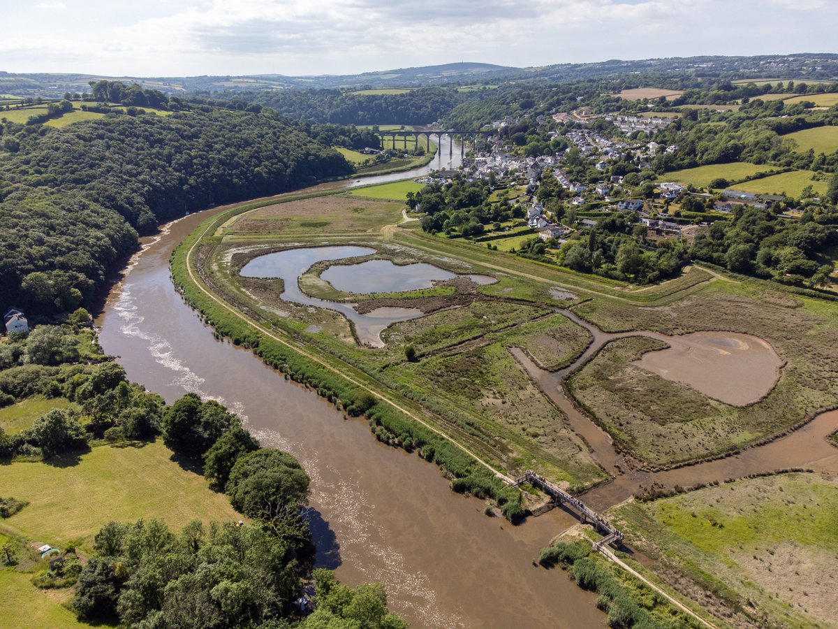 Tamar Estuaries (@tamarestuaries) on Twitter photo 📣Have your say on the <a href="/tamarvalleynl/">Tamar Valley National Landscape</a> draft Management Plan for 2025-2030 📣
Consultation ends 1 November 2024!
tamarvalley-nl.org.uk/our-work/manag… - 📷Calstock Wetlands, <a href="/fotonow/">Fotonow CIC</a> ©️ 📣Have your say on the <a href="/tamarvalleynl/">Tamar Valley National Landscape</a> draft Management Plan for 2025-2030 📣
Consultation ends 1 November 2024!
tamarvalley-nl.org.uk/our-work/manag… - 📷Calstock Wetlands, <a href="/fotonow/">Fotonow CIC</a> ©️