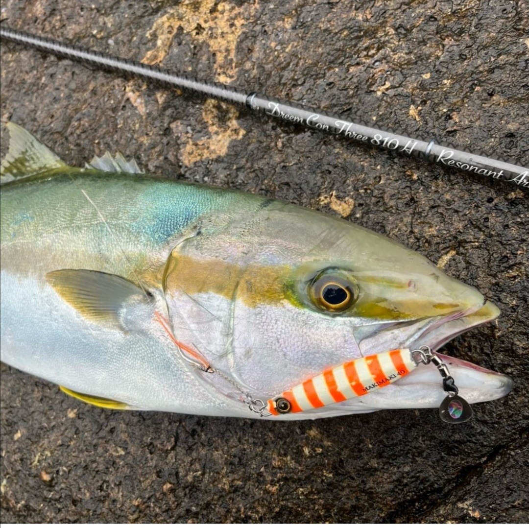 Llega el mejor momento para la pesca con jigs y es ahora cuando el Kayabusa Jack Eye MakiMaki saca todo su potencial, su perfil asimétrico que le proporciona reacciones inesperadas en su forma de nadar lo hacen un señuelo top para estos días de otoño
#hayabusa #jackeye #fishing