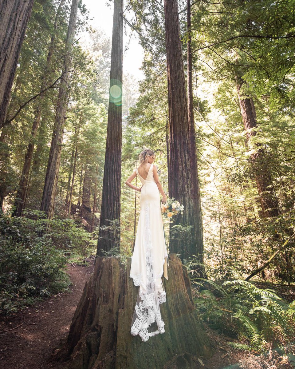 insbystudio's tweet photo. I mean, just look at this shot! 😍 One of our favorites.

📸 @inspiredbystudio

#weddinginspo #californiaweddingphotographer #californiawedding #californiaweddingvideographer #northerncaliforniawedding #northerncaliforniaweddingphotographer #northerncaliforniaweddingvideographer https://t.co/0ogVSR0SP4