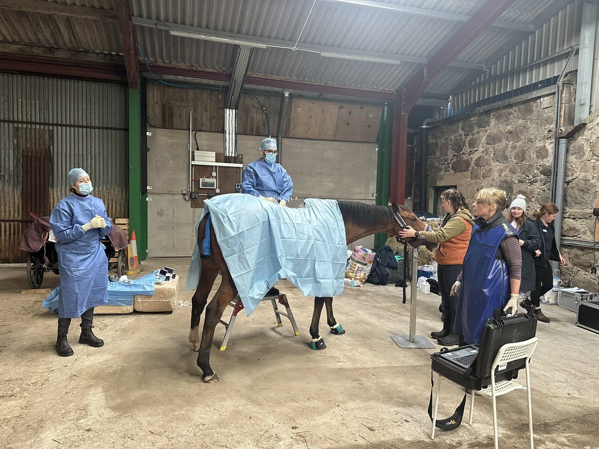 Glasgow Equine Hospital & Practice (@weipersequine) on Twitter photo Another great <a href="/WeipersEquine/">Glasgow Equine Hospital & Practice</a> <a href="/UofGSBOHVM/">UofG SBOHVM</a> equine veterinary outreach day with colleagues #MoraycoastVetGroup bringing specialist equipment & techniques to where it is needed <a href="/PJPollockVet/">Patrick J Pollock</a> Another great <a href="/WeipersEquine/">Glasgow Equine Hospital & Practice</a> <a href="/UofGSBOHVM/">UofG SBOHVM</a> equine veterinary outreach day with colleagues #MoraycoastVetGroup bringing specialist equipment & techniques to where it is needed <a href="/PJPollockVet/">Patrick J Pollock</a>
