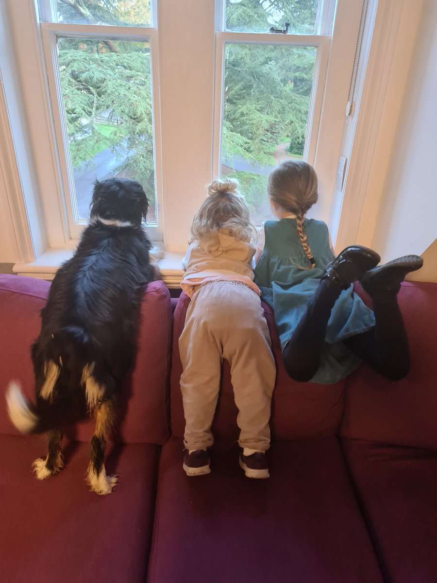 saintronans's tweet image. Juno made a surprise appearance at boarding this morning. The children were delighted that their morning routine was interrupted. 
#iloveboarding
#PATdog
#prepschoollife
#saintronansboarding
