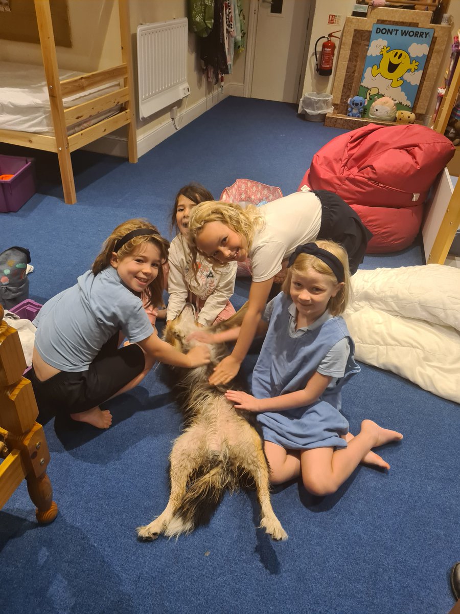 saintronans's tweet image. Juno made a surprise appearance at boarding this morning. The children were delighted that their morning routine was interrupted. 
#iloveboarding
#PATdog
#prepschoollife
#saintronansboarding