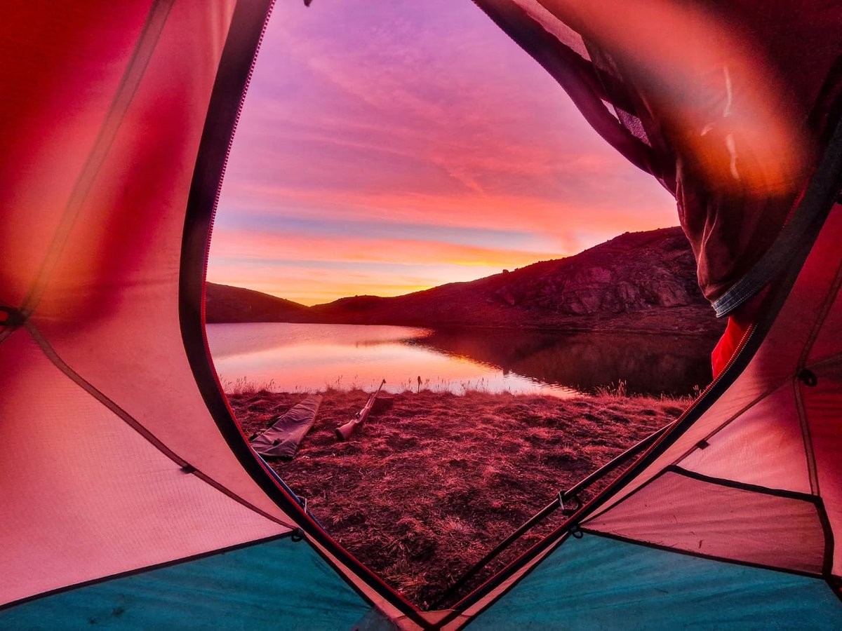 Matt Peacey tweet media