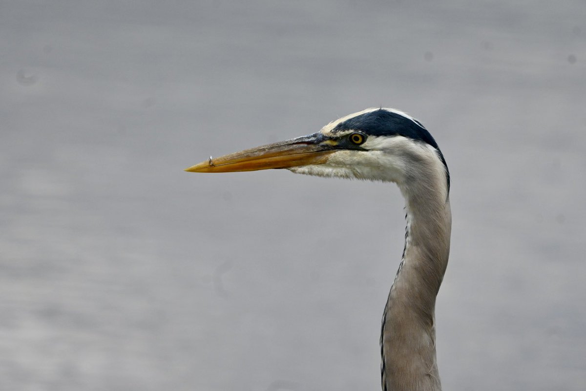 Goooood morning 😎