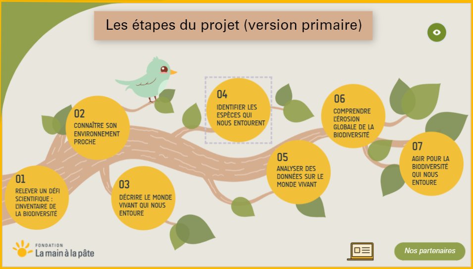 mathieu farina (@mathieu_farina) on Twitter photo Le projet Piafs de ma rue de <a href="/Fondation_Lamap/">Fondation La main à la pâte</a> en un clin d'œil (version primaire) !
Première visio de lancement du défi version 2024-25... aujourd'hui !
view.genially.com/667eb51b50c75b… Le projet Piafs de ma rue de <a href="/Fondation_Lamap/">Fondation La main à la pâte</a> en un clin d'œil (version primaire) !
Première visio de lancement du défi version 2024-25... aujourd'hui !
view.genially.com/667eb51b50c75b…