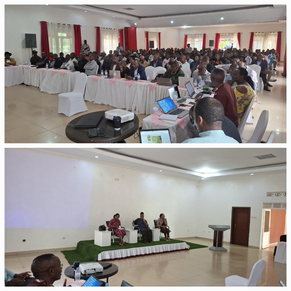 It's happening now! More than 300 dairy farmers are gathering in Kayonza to strategize on how to increase improved cultivation in the season 2025A. This will help to enhance milk production and cattle welfare, especially during the dry season. The meeting is supported by RDDP.