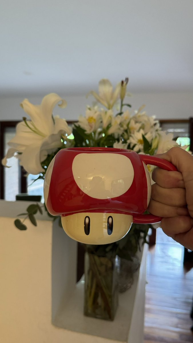 Majo 🍄 tweet media