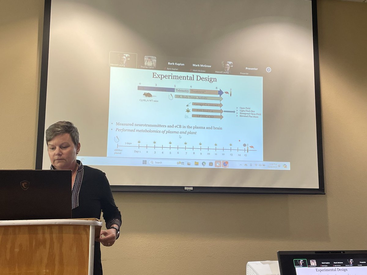 Leung_Lab's tweet image. This semester's @ASUNewCollege Seminars for #CannabisEnvHealth are a blast! Special thanks to our proud @ASU alumni Mike McMahon, Dr. Kimbery Gwinn (@UTKnoxville), and Dr. Nichole Reisdorph (#CUAnschutz) for their excellent talks on hemp, biopesticides, and microbiome! πΏπππ