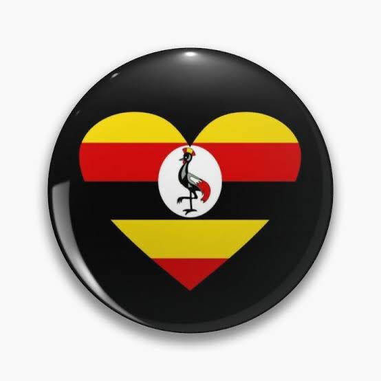 PhillipKarugaba's tweet image. #RuleOfLaw ‘… a principle of governance in which ALL PERSONS, … including the State, are ACCOUNTABLE TO LAWS publicly promulgated, EQUALLY ENFORCED and INDEPENDENTLY ADJUDICATED, and which are consistent with international human rights norms and standards.