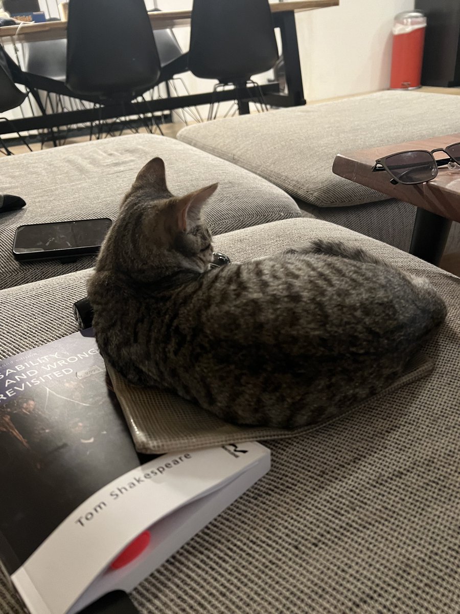 elín ýr arnar 🇺🇦 tweet media