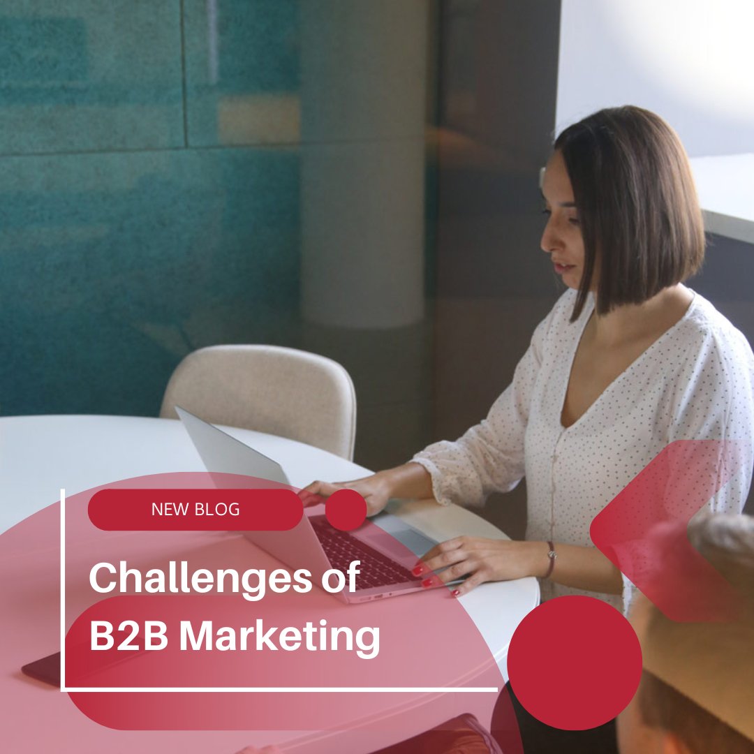 SeekandHit.com tweet media