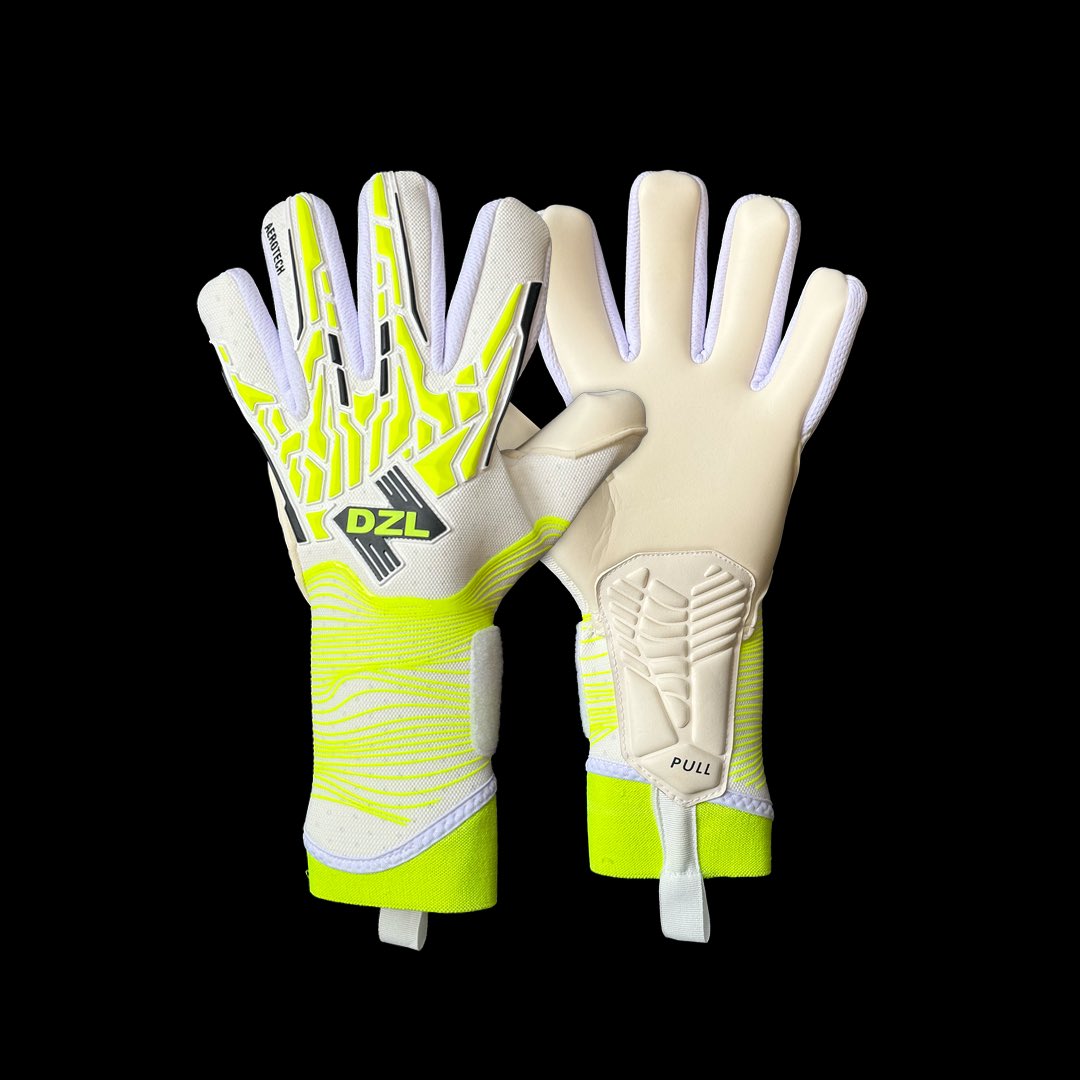 DZL Goalkeeping tweet media