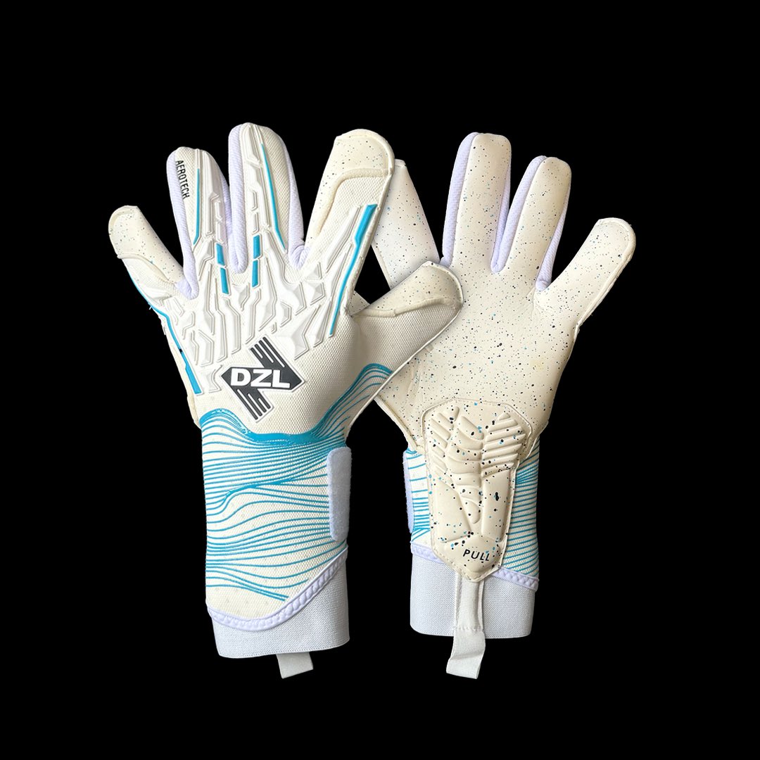 DZL Goalkeeping tweet media