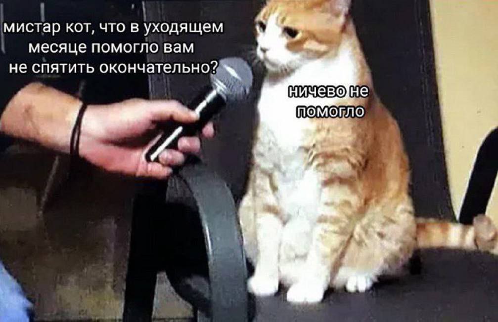 Я решила что мне снова нужно куда-то вываливать свои рандомные мысли