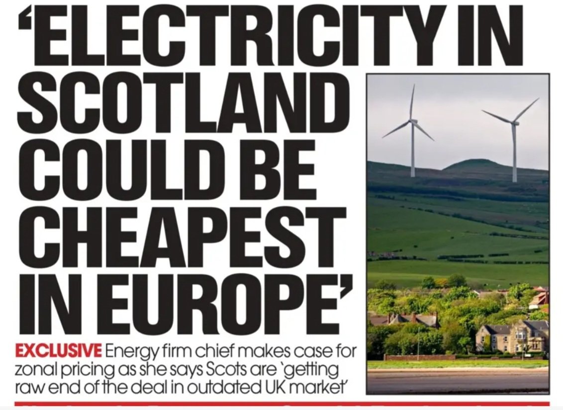 Bothy Cat tweet media