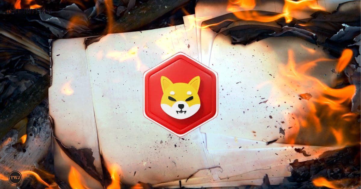 SHIBMortal's tweet photo. BREAKING: $SHIB (Shiba Inu) gears up for a major price rally after massive burn surge.🔥🚀 https://t.co/nCvQrCFW5C