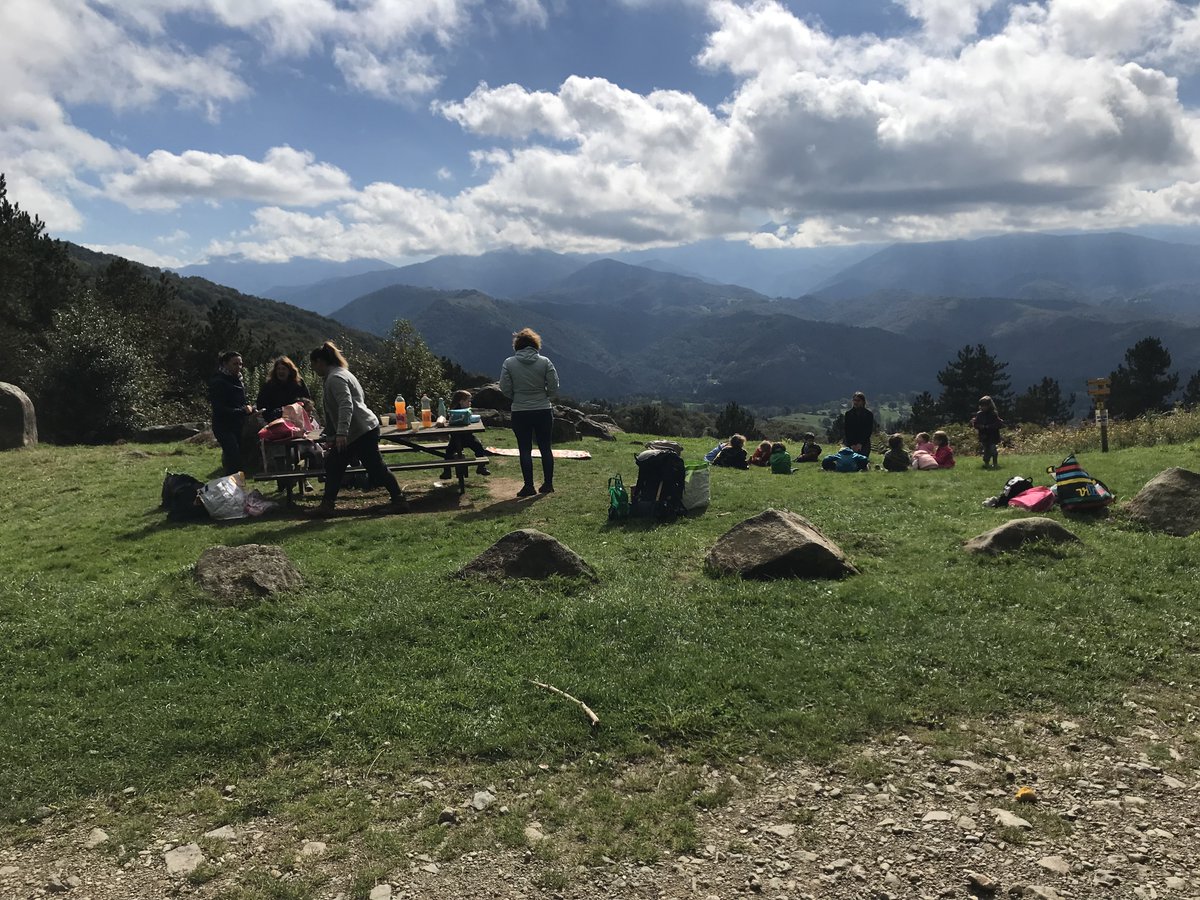 COFOR Occitanie tweet media