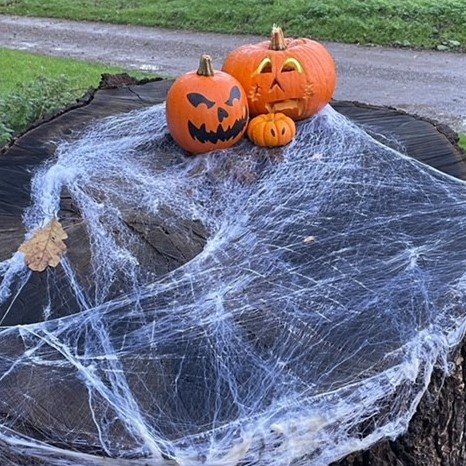 Counting down to our Halloween Spooktacular.
Join us for a bewitching afternoon, follow the pumpkin trail, practice your wand-making and enjoy some fiendishly good bites at our pop-up café.
Entry by pre-booked tickets only: bit.ly/3BkSgnB
#Halloween #halfterm #Dorset