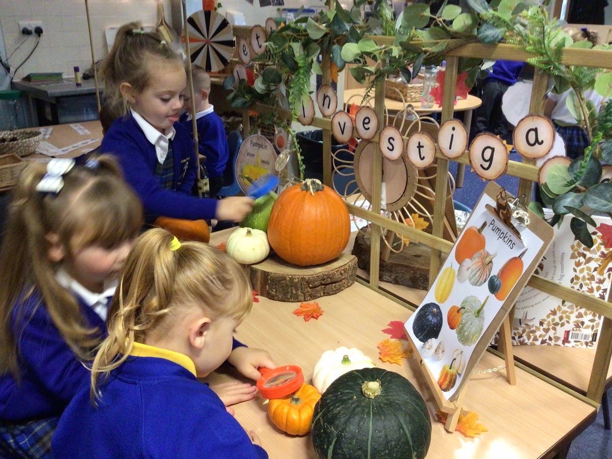 Canon_Reception's tweet photo. Signs our autumn are creeping into our classroom! The children have been enjoying looking at the different coloured, sizes and shapes of pumpkins and squashes at our investigation station πππ #ExploringAutumn @Cornerstonesedu @CanonSharples @LT_Trust https://t.co/9tWJiNMtkf