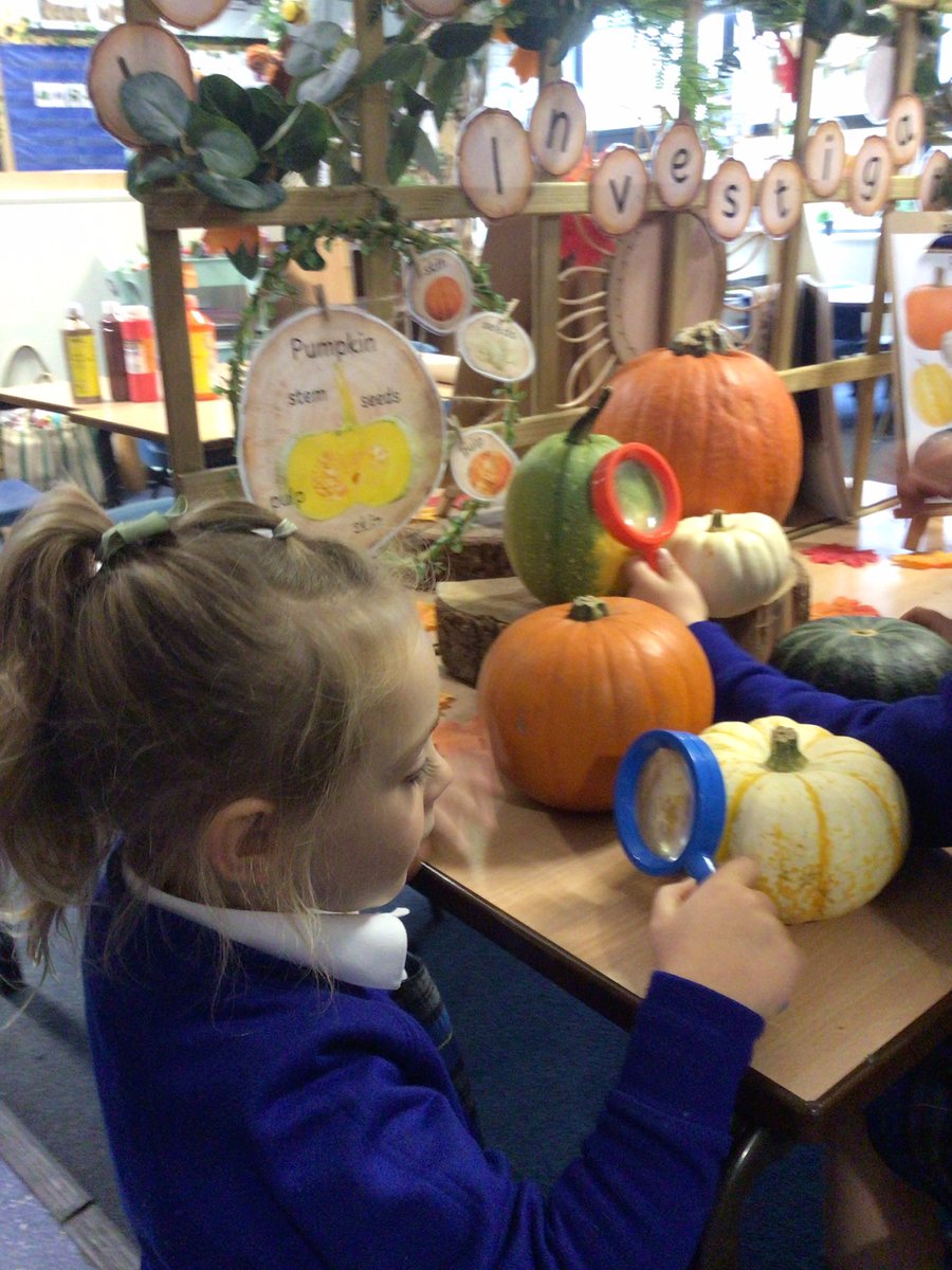 Canon_Reception's tweet photo. Signs our autumn are creeping into our classroom! The children have been enjoying looking at the different coloured, sizes and shapes of pumpkins and squashes at our investigation station πππ #ExploringAutumn @Cornerstonesedu @CanonSharples @LT_Trust https://t.co/9tWJiNMtkf