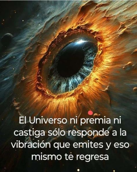 YO SOY VIBRANDO ALTO !