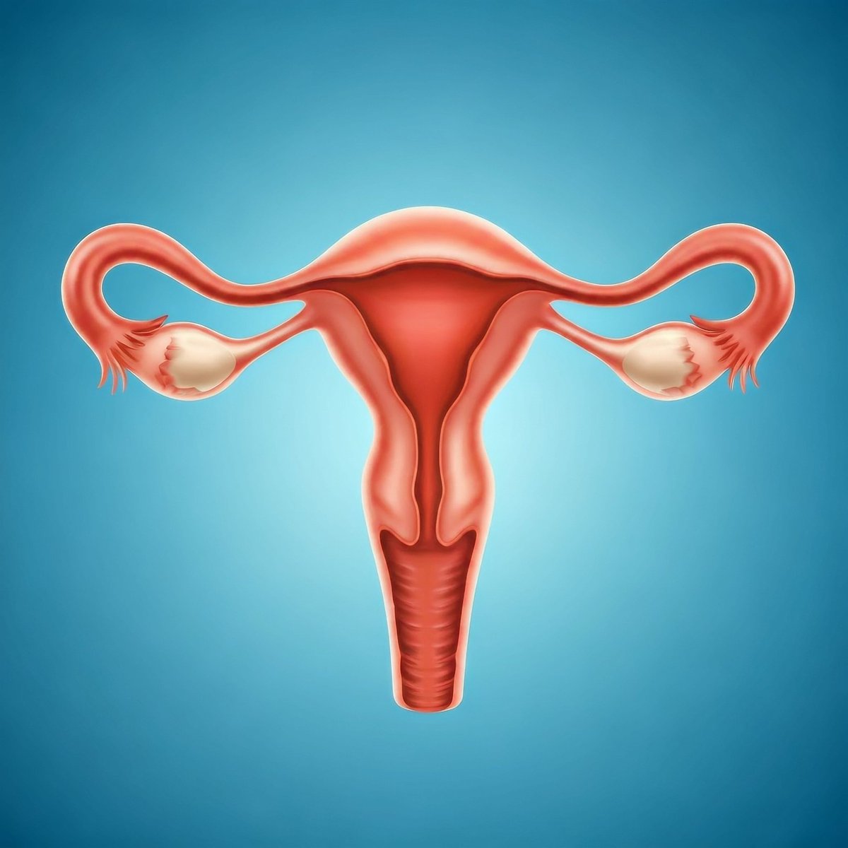 AureliumHealth's tweet photo. UTERINE HEALTH MATTERS FOR WOMEN ♀️

Women's health is important. 💓 Ultrasound can detect and evaluate growths in the uterus, such as fibroids. Early detection can lead to better outcomes. 

🔗 DISCOVER MORE by visiting our website.
https://t.co/ug4xWArXyJ https://t.co/hKc9C1i4qo