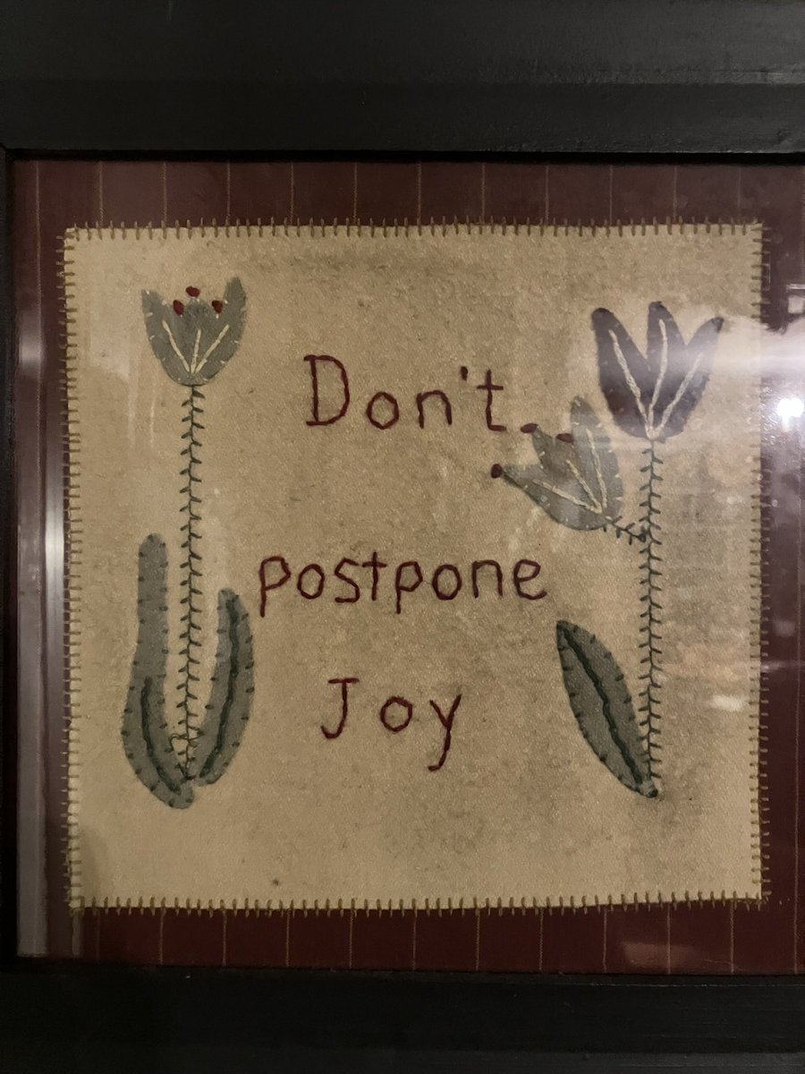 interested in plants tweet media