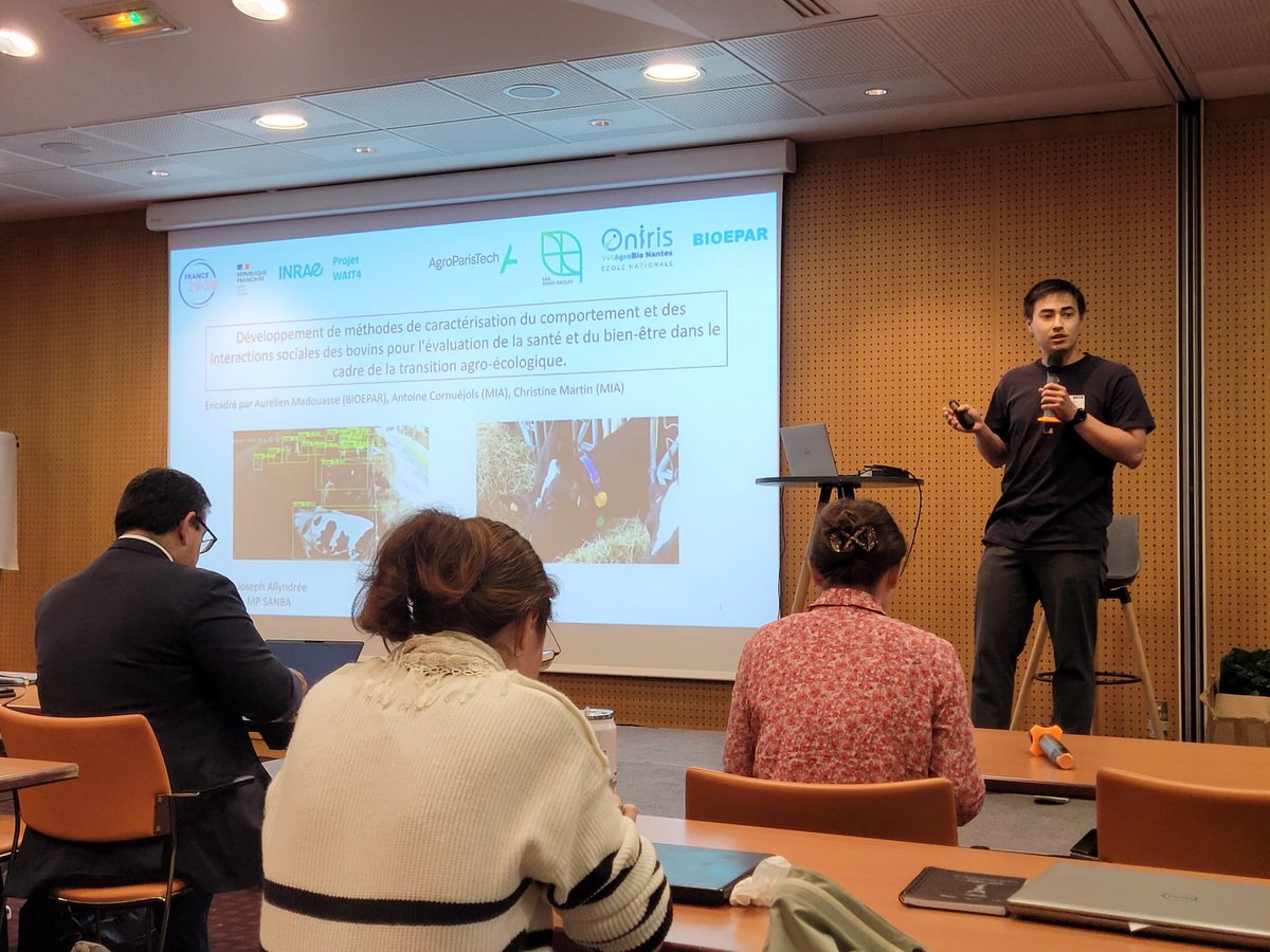 JAllyndree's tweet photo. 1/2 Hi followers !
Happy to share that I presented my PhD project (#PACE-COW ) at the #SANBA metaprogram biennial conference.🔬
It sparked interesting questions from researchers in animal welfare as well as ethologists ! 🐄🐏🐖
#INRAE https://t.co/I4UOTsMn1i